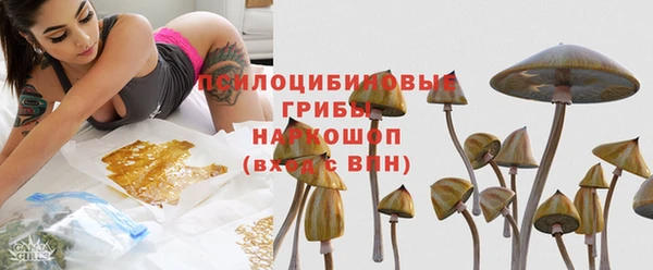 ПСИЛОЦИБИНОВЫЕ ГРИБЫ Красноперекопск