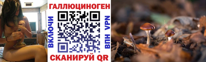 Галлюциногенные грибы Magic Shrooms  Купить  Северобайкальск 