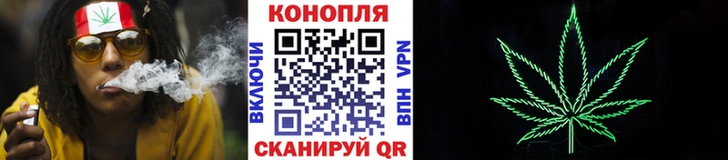 Бошки Шишки гибрид  Купить закладки  Северобайкальск 